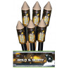 Silvester Feuerwerk Raketen Sortiment 6 Gold & Glory