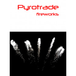 Pyrotrade Feuerwerk Batterie Silver Farfalle Feuerwerksbatterie berlin kaufen werksverkauf