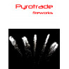 Pyrotrade Feuerwerk Batterie Silver Farfalle Feuerwerksbatterie berlin kaufen werksverkauf