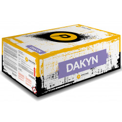 Daykyn von Pyroprodukt Feuerwerk Verbund
