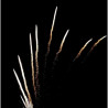 Pyrotrade Feuerwerk Single Row Brocade Crown Comet Zipper Feuerwerksbatterie berlin kaufen werksverkauf