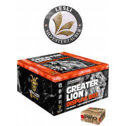 Silvester Feuerwerk Batterie Greater Lion Display Box von Lesli