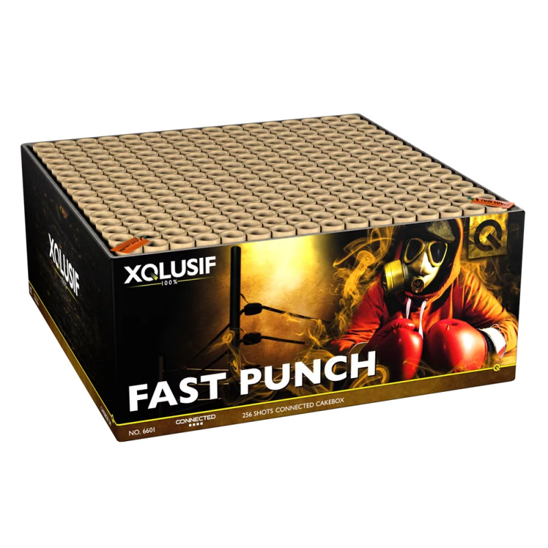 Silvester Feuerwerk XQlusiv Fast Punch Verbund von Lesli