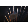 Pyrotrade Feuerwerk Single Row White strobe tail Feuerwerksbatterie berlin kaufen werksverkauf