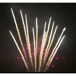 Pyrotrade Feuerwerk Single Row Red glitter mine with brocade crown comet Feuerwerksbatterie berlin kaufen werksverkauf