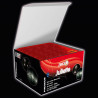 Silvester Feuerwerk Batterie Juliette von Pyrogiochi / Weco