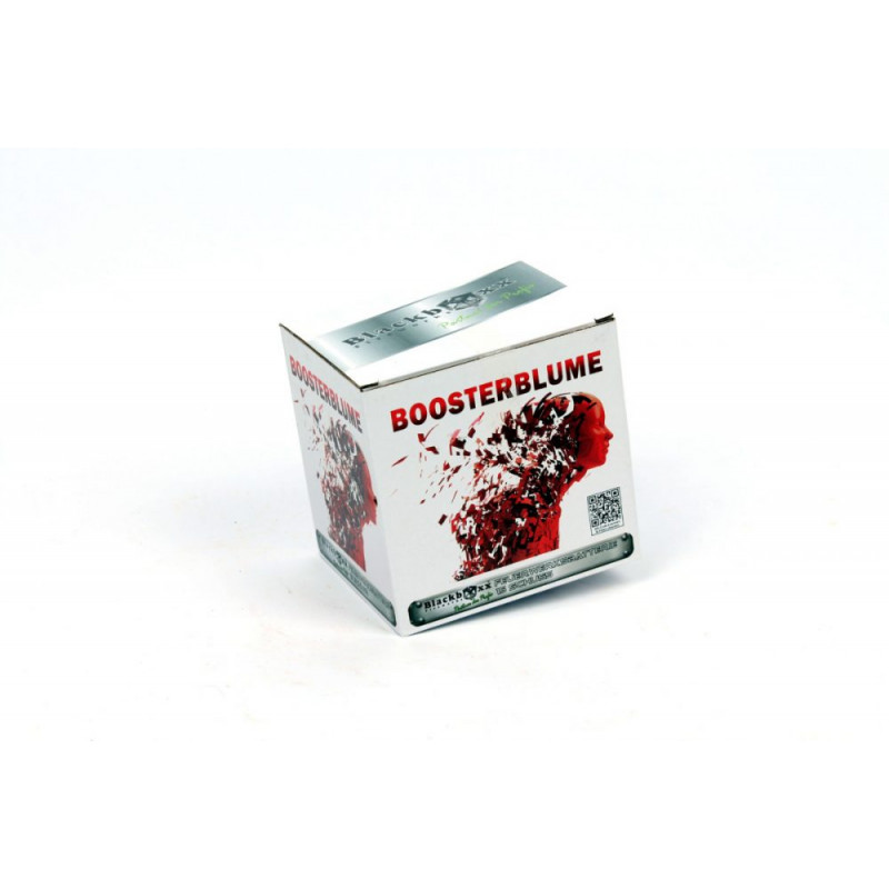 Blackboxx Silvester Feuerwerk Batterie Boosterblume feuerwerksbatterie berlin kaufen werksverkauf silvester black box boxx sorte