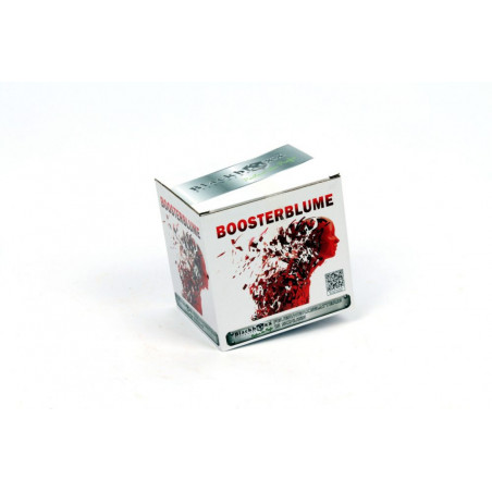 Blackboxx Silvester Feuerwerk Batterie Boosterblume feuerwerksbatterie berlin kaufen werksverkauf silvester black box boxx sorte