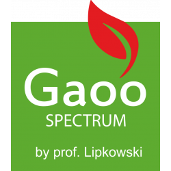 Gaoo Spectrum Feuerwerk Fächer Batterie Pandora