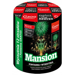 Gaoo Batterie Funky ehem. Mansion