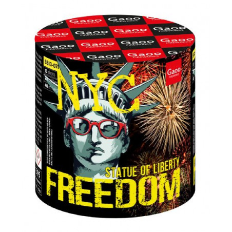 Gaoo Batterie Freedom ehem. Brocade Crown