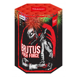 Gaoo Batterie Brutus ehem. Blossom