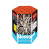 Gaoo Batterie Brutus ehem. Blossom