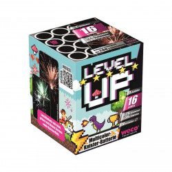 Silvester Feuerwerk Level up von Weco
