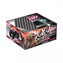Silvester Feuerwerk Ryu von Weco