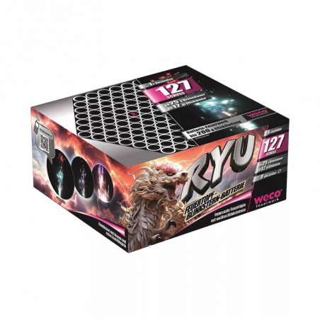 Silvester Feuerwerk Ryu von Weco
