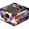 Silvester Feuerwerk Fahrenheit von Weco