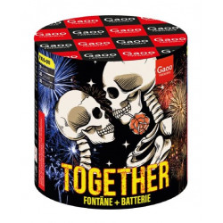 Gaoo Batterie mit Fontäne Elegia berlin kaufen feuerwerk werksverkauf kreuzberg schöneberg steglitz zehlendorf