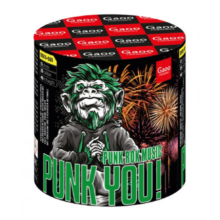 Gaoo Batterie Punk You ehem. Purple Stars berlin kaufen feuerwerk werksverkauf kreuzberg schöneberg steglitz zehlendorf