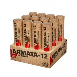 Silvester Feuerwerk Batterie Verbund Armata 12 von Lesli feuertopf feuertöpfe salutschüsse silvesterfeuerwerk feuerwerksbatterie