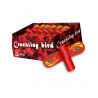 Silvester Leucht Feuerwerk crackling bird Biene Bee Feuervogel feuervögel Turbo Wirbel space twister berlin kaufen werksverkauf 