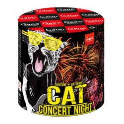 Gaoo Batterie Cat ehem. Status berlin kaufen feuerwerk werksverkauf kreuzberg schöneberg steglitz zehlendorf