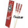 Funke Salutraketen mit Silberschweif Aufstieg knallraketen titansalut salut Feuerwerk berlin kaufen werksverkauf silvester schön