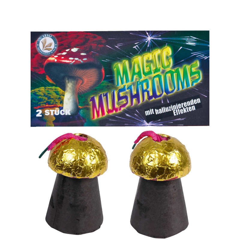2 Silvester Feuerwerk Fontänen Magic Mushrooms silvesterfeuerwerk feuerwerksbatterie berlin kaufen schöneberg kreuzberg zehlendo