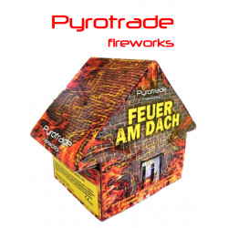 Silvester Feuerwerk Fontäne Feuer am Dach von Pyrotrade berlin schöneberg kreuzberg kaufen werksverkauf steglitz zehlendorf