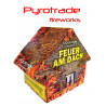 Silvester Feuerwerk Fontäne Feuer am Dach von Pyrotrade berlin schöneberg kreuzberg kaufen werksverkauf steglitz zehlendorf