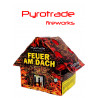 Silvester Feuerwerk Fontäne Feuer am Dach von Pyrotrade berlin schöneberg kreuzberg kaufen werksverkauf steglitz zehlendorf