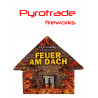 Silvester Feuerwerk Fontäne Feuer am Dach von Pyrotrade berlin schöneberg kreuzberg kaufen werksverkauf steglitz zehlendorf