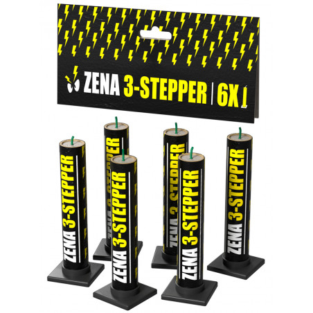 Silvester Feuerwerk 3 Stepper Fontänen von Zena lesli berlin schöneberg kreuzberg kaufen feuerwerksverkauf steglitz zehlendorf