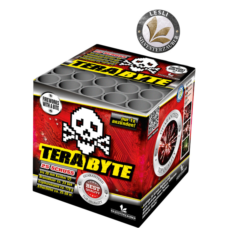 Silvester Feuerwerk Batterie Terabyte von Lesli