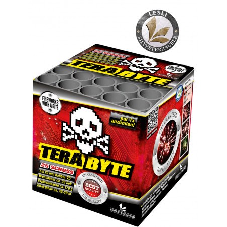 Silvester Feuerwerk Batterie Terabyte von Lesli