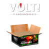 Silvester Feuerwerk Batterie Volt Code Red von Lesli