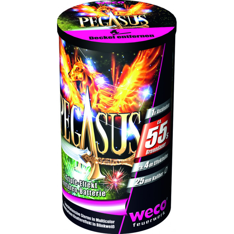 Weco Feuerwerk Fontänen Batterie Pegasus