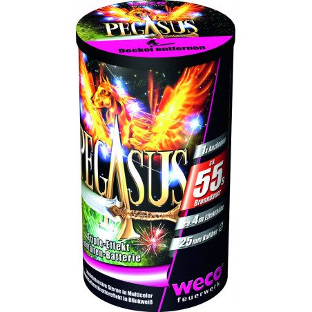 Weco Feuerwerk Fontänen Batterie Pegasus